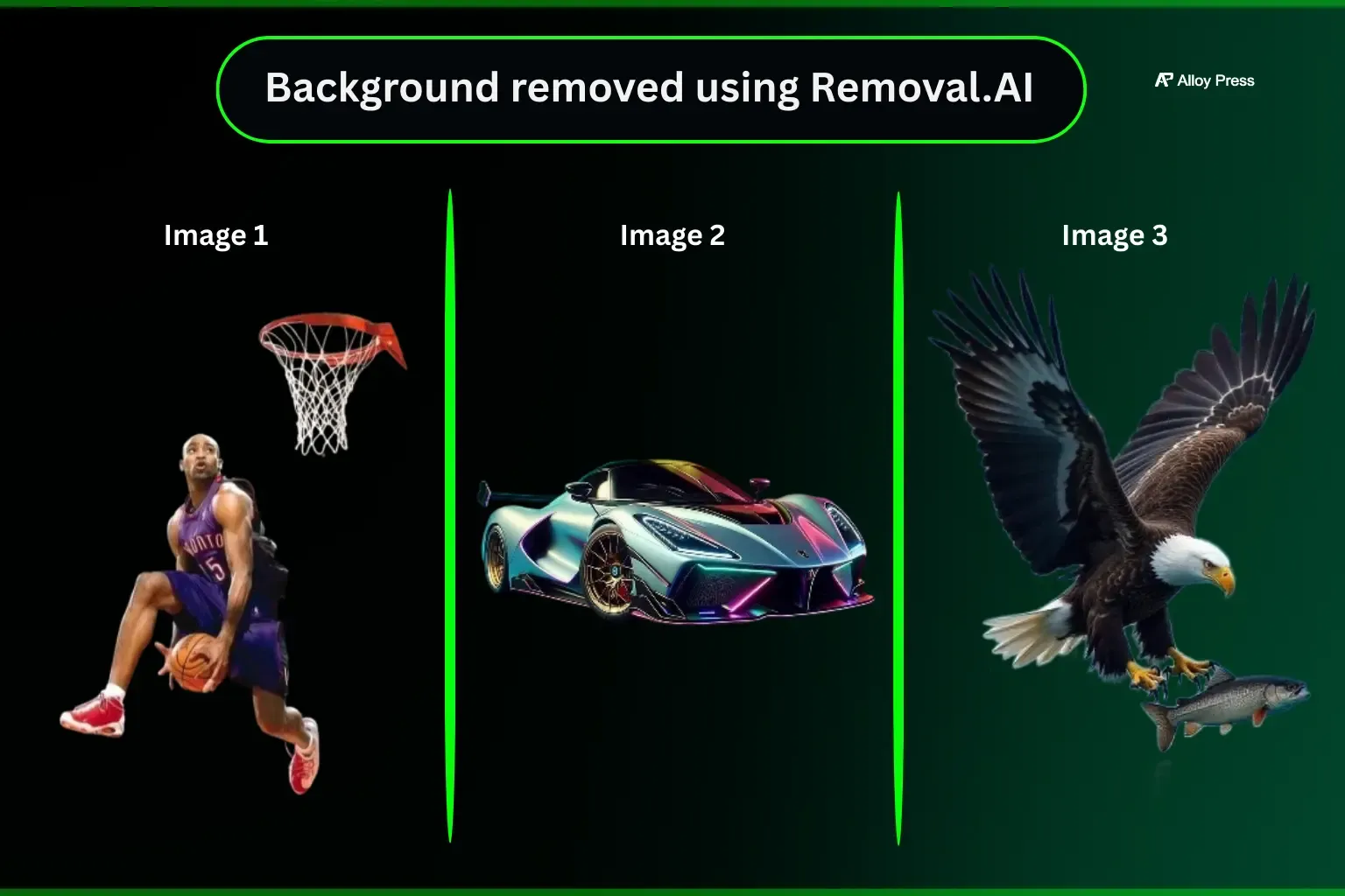 Removal.AI Outputs