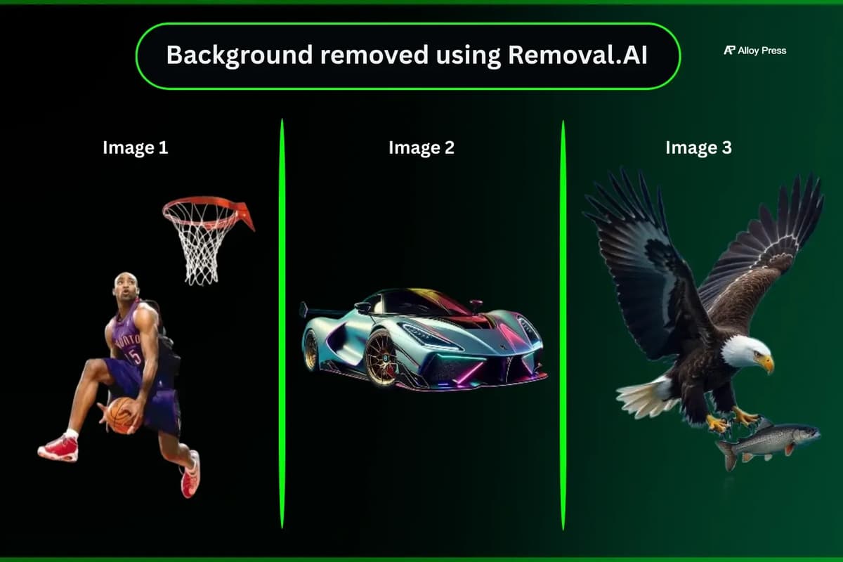 Removal.AI Outputs